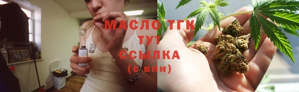 индика Гусев