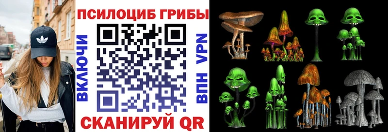 нарко площадка клад  Клинцы  Галлюциногенные грибы Cubensis 